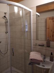 La salle de bains est pourvue d'une douche et d'un lavabo. dans l'établissement Statek Bílý Dvůr, à Machov