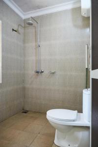 a bathroom with a toilet and a shower at Villa Viva Tanzania in Arusha