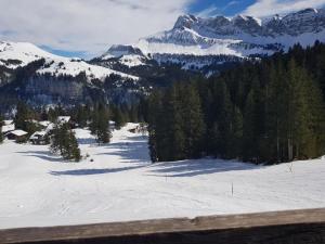 Paesaggio naturale nelle vicinanze dell'appartamento