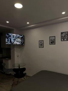 TV a/nebo společenská místnost v ubytování Ace's StudioApartment