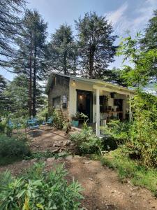 a small house in the middle of a forest at The Cocoon Project in McLeod Ganj