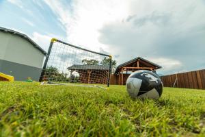 una pelota de fútbol sentada en la hierba al lado de un gol en Apartmány Zaria, en Bešeňová