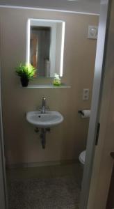 a bathroom with a sink and a mirror and a toilet at Blockhouse Nicks Lodge in Hatten +14 photos