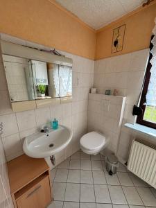 a bathroom with a sink and a toilet at Haus am Finowkanal in Eberswalde