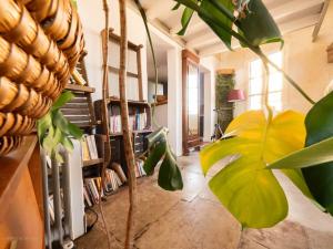 Fotografia z galérie ubytovania L'atelier - Climatisation et vue Place de la Comédie v destinácii Montpellier