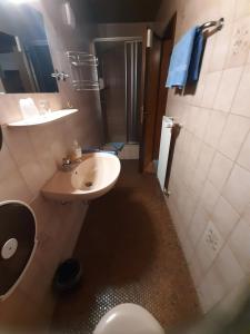 ein Bad mit einem Waschbecken, einem WC und einer Dusche in der Unterkunft Gasthof Keller Merdingen in Merdingen