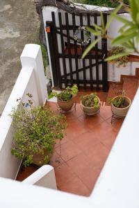 Balkón alebo terasa v ubytovaní Cretan Magnolia Gem - Smari Cozy Getaway