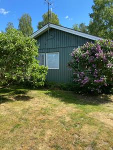 uma casa verde com dois arbustos à frente em Fritidshus i Sandbergen em Stora Frö