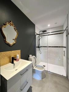 a bathroom with a sink and a toilet and a mirror at LesCinqSuites/12 couchages-DABNB in Limoges