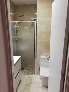 een badkamer met een douche, een toilet en een wastafel bij piso reformado 3 habitaciones in Sevilla