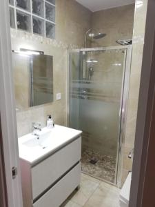 een badkamer met een douche, een wastafel en een douche bij piso reformado 3 habitaciones in Sevilla
