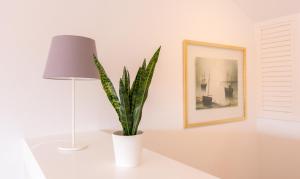 a plant in a white vase on a table next to a lamp at Apartamento Dos Mares by Rental Olé in La Manga del Mar Menor +20 photos