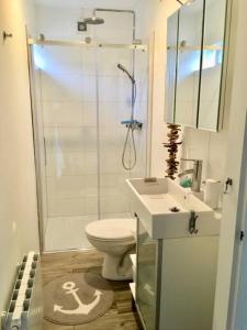 a bathroom with a shower and a toilet and a sink at Boerenslag 41 in Sint Maartensvlotbrug +1 photo