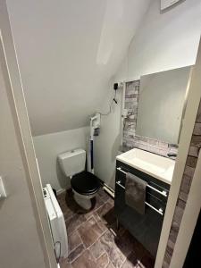 La salle de bains est pourvue de toilettes, d'un lavabo et d'un miroir. dans l'établissement Au ColbVert, à Lille
