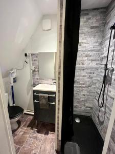 La salle de bains est pourvue d'une douche, d'un lavabo et de toilettes. dans l'établissement Au ColbVert, à Lille
