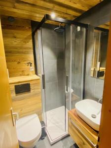 een badkamer met een douche, een toilet en een wastafel bij Fontanettaz V 007 - MOUNTAIN & VIEW apartment 8 pers in Veysonnaz