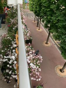 una fila de flores en una acera al lado de una calle en L'ELEGANCE SOUS LE SOLEIL, en Levallois-Perret