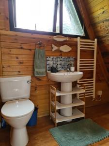 Snowdonia View@puffin Lodges في Chwilog: حمام مع مرحاض ومغسلة في كابينة