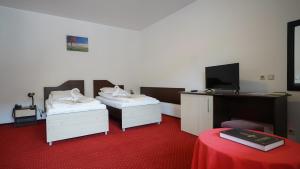 um quarto de hotel com duas camas e uma televisão em Vila Trandafirul si Liliacul em Căciulata