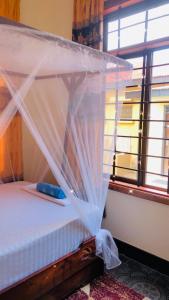 a bed with a canopy in a room with a window at Jambo hostel tz in Dar es Salaam
