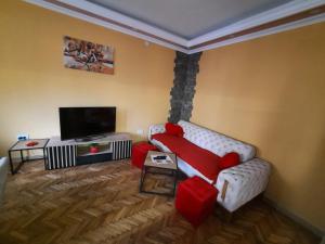 TV a/nebo společenská místnost v ubytování G&S apartment
