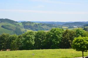 a group of trees in a field with hills in the background at Ferienwohnungen Bußmann in Herscheid