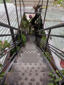 Fotografie z fotogalerie ubytování Bana Home & Spa v destinaci Hoi An