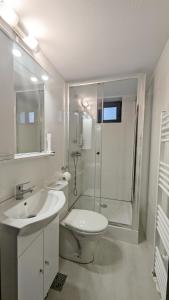 La salle de bains est pourvue d'une douche, de toilettes et d'un lavabo. dans l'établissement Complex Parc Pini Moinesti, à Moineşti