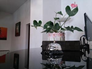 a vase with a plant on top of a table at Hotel Le Rose in Tivoli Terme