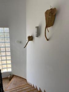 Fotografie z fotogalerie ubytování Hostal Espai Mediterrani v destinaci Puebla de Vallbona