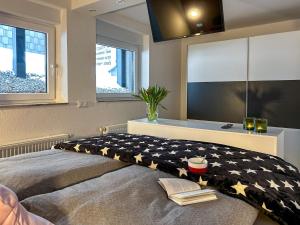 een slaapkamer met een groot bed en een tv aan de muur bij Am Höhlchen in Olsberg
