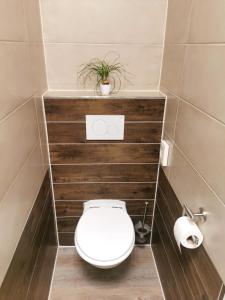 a bathroom with a toilet with a plant above it at Speedys Bed & Breakfast in Reimerath