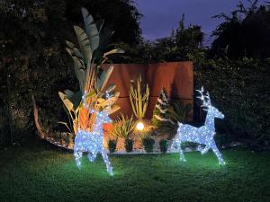 deux rennes éclairés dans un jardin la nuit dans l'établissement Casa de la Luna, à Nettuno