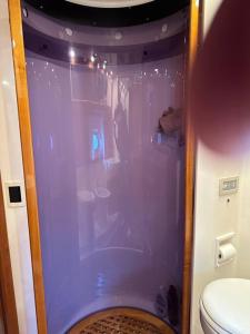 a purple shower in a bathroom with a toilet at Le Sky Sailor, idéal Lions in Cannes