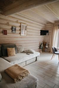 米庫利欽的住宿－Vila Mila，带沙发和电视的客厅