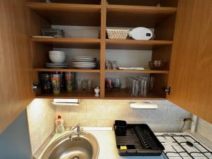 a kitchen with a sink and a counter with dishes at Renapartman in Pécs