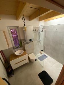 a bathroom with a shower and a toilet and a sink at Domek Mecenasa in Nieledwia