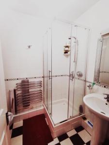 La salle de bains est pourvue d'une douche et d'un lavabo. dans l'établissement Charming apartment with big terrace in Sandymount, à Dublin