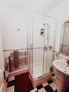 Koupelna v ubytování Single room in charming apartment with the terrace and the cat in Sandymount
