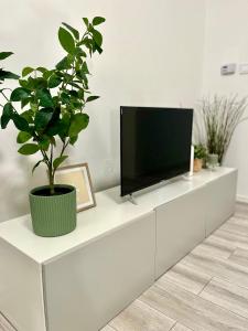 a tv on a white cabinet with a potted plant at Apartment Robin - Old Town in Bratislava