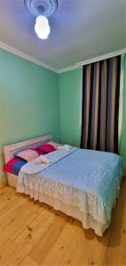 Postel nebo postele na pokoji v ubytování Rita Gujejiani Guest House