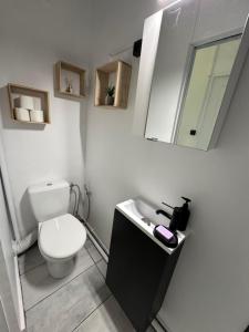 a bathroom with a toilet and a sink and a mirror at Appartement cosy - 3e arr in Marseille +8 photos