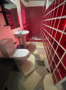 カディスにある4 Habitaciónes King con vistas al Jardínの赤い壁のバスルーム(トイレ、洗面台付)