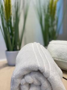 Φωτογραφία από το άλμπουμ του GuestHouse Große Linde στην Καρλσρούη +45 φωτογραφίες