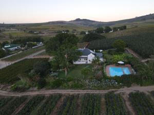 una vista aérea de una casa en un viñedo en Aan-Den-Weg en Stellenbosch