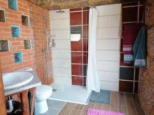 een badkamer met een douche, een toilet en een wastafel bij Country House - Hippie Garden in Vieira do Minho