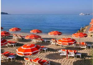 een strand met rode en witte parasols en stoelen en de oceaan bij Royal Palm Juan les pins -Appartement 53M2 avec terrasse ensolleillée 5e dernier étage 200m de la plage in Juan-les-Pins
