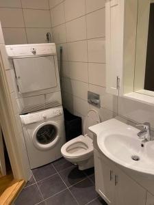 un piccolo bagno con lavatrice e servizi igienici di Lovely apartment in Bergen a Bergen