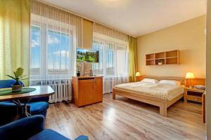 a bedroom with a bed and a tv and windows at Sanatorium GÓRNIK in Iwonicz-Zdrój