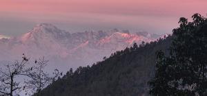 Fotografie z fotogalerie ubytování The Hill Paradise v destinaci Almora